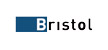 德国Bristol静电式